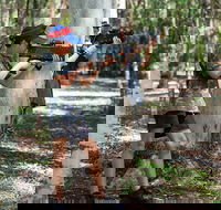 Laser Skirmish at Glenworth Valley Outdoor Adventures - Perisher Accommodation