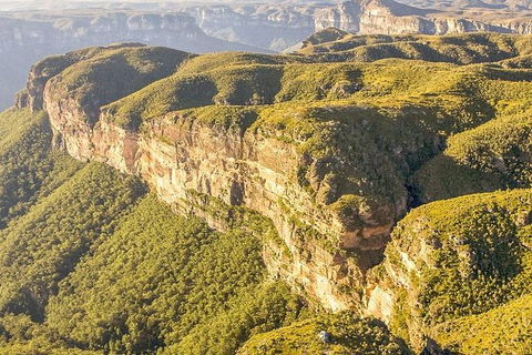Small Group Blue Mountains, Featherdale, Lunch & Cruise Day Tour - Perisher Accommodation 7