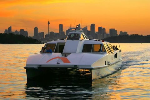 Small Group Blue Mountains, Featherdale, Lunch & Cruise Day Tour - Perisher Accommodation 1