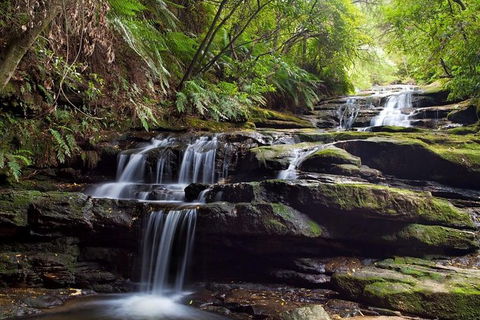 Small Group Blue Mountains, Featherdale, Lunch & Cruise Day Tour - Perisher Accommodation 6