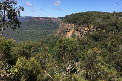 Small Group Blue Mountains, Featherdale, Lunch & Cruise Day Tour - Perisher Accommodation 5