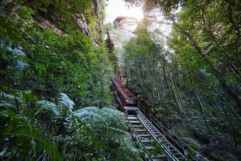 Small Group Blue Mountains, Featherdale, Lunch & Cruise Day Tour - Perisher Accommodation 2