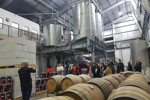 Hunter Valley Small Group Wine, Gin, Cheese & Chocolate Tour - Perisher Accommodation 6