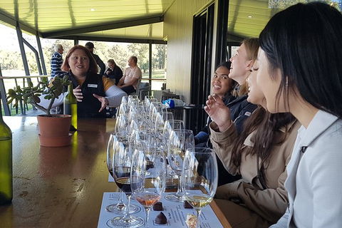 Hunter Valley Small Group Wine, Gin, Cheese & Chocolate Tour - Perisher Accommodation 2