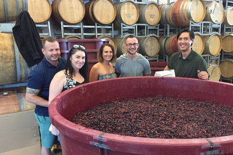 Hunter Valley Small Group Wine, Gin, Cheese & Chocolate Tour - Perisher Accommodation 0