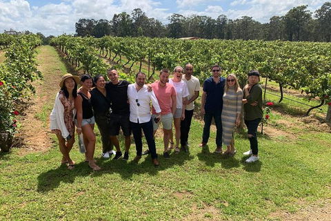 Hunter Valley Exclusive Kangaroo And Wine Tasting Experience - Perisher Accommodation 6