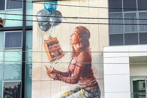 3 Hours Street Art Walking Tour In Newtown With Food Tasting - Perisher Accommodation 0