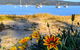 Central Coast Explorer With \'Personalised Sydney Tours\' - thumb 7