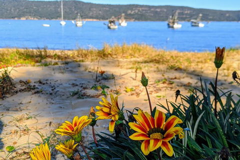 Central Coast Explorer With \'Personalised Sydney Tours\' - Perisher Accommodation 7