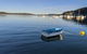 Central Coast Explorer With \'Personalised Sydney Tours\' - thumb 1
