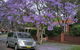 Central Coast To Sydney/ Sydney Airport Transfers - thumb 0