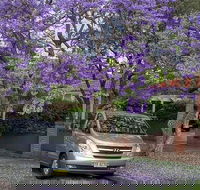 Central Coast to Sydney/ Sydney Airport Transfers - Perisher Accommodation