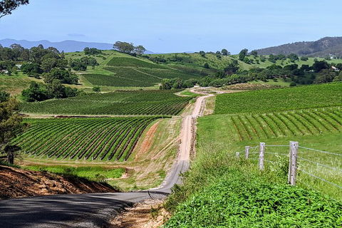 The Complete Hunter Valley Wine Tour Of Pokolbin, Mt View, Lovedale And Rothbury - Perisher Accommodation 0