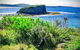 Erupting Blowholes And Ancient Rainforests With \'Personalised Sydney Tours\' - thumb 4