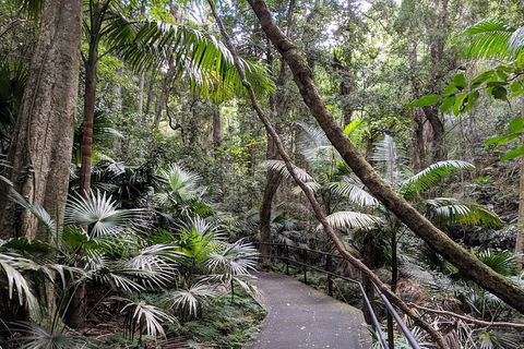 Erupting Blowholes And Ancient Rainforests With \'Personalised Sydney Tours\' - Perisher Accommodation 1