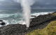 Erupting Blowholes And Ancient Rainforests With \'Personalised Sydney Tours\' - thumb 6