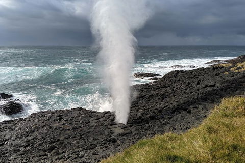 Erupting Blowholes And Ancient Rainforests With \'Personalised Sydney Tours\' - Perisher Accommodation 6