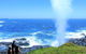 Erupting Blowholes And Ancient Rainforests With \'Personalised Sydney Tours\' - thumb 0