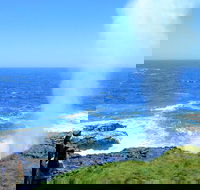 Erupting Blowholes and Ancient Rainforests with 'Personalised Sydney Tours' - Perisher Accommodation