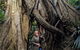 Erupting Blowholes And Ancient Rainforests With \'Personalised Sydney Tours\' - thumb 3