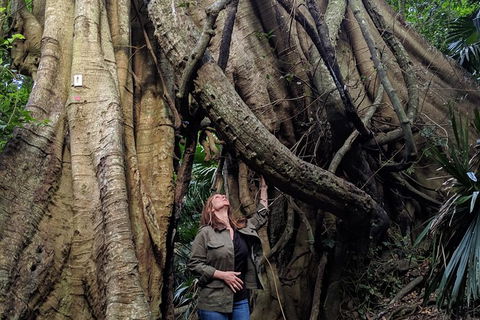 Erupting Blowholes And Ancient Rainforests With \'Personalised Sydney Tours\' - Perisher Accommodation 3