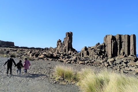 Erupting Blowholes And Ancient Rainforests With \'Personalised Sydney Tours\' - Perisher Accommodation 2