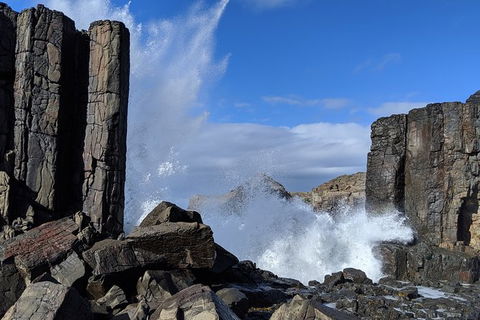 Erupting Blowholes And Ancient Rainforests With \'Personalised Sydney Tours\' - Perisher Accommodation 5