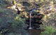 Australian Wildlife & Waterfalls Private Tour With \'Personalised Sydney Tours\' - thumb 7