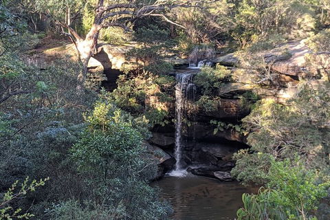 Australian Wildlife & Waterfalls Private Tour With \'Personalised Sydney Tours\' - Perisher Accommodation 7