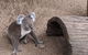 Australian Wildlife & Waterfalls Private Tour With \'Personalised Sydney Tours\' - thumb 5