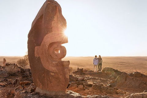 Outback Sunset Sculpture Tour - Perisher Accommodation 5