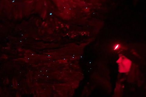 Night 4WD & Guided Glow Worm Tour Wildlife Spotlighting Blue Mountains Adventure - Perisher Accommodation 6