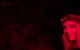 Night 4WD & Guided Glow Worm Tour Wildlife Spotlighting Blue Mountains Adventure - thumb 3