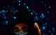 Night 4WD & Guided Glow Worm Tour Wildlife Spotlighting Blue Mountains Adventure - thumb 0