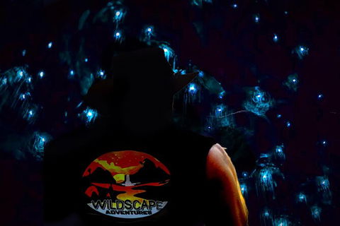 Night 4WD & Guided Glow Worm Tour Wildlife Spotlighting Blue Mountains Adventure - Perisher Accommodation 0