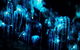 Night 4WD & Guided Glow Worm Tour Wildlife Spotlighting Blue Mountains Adventure - thumb 7