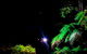 Night 4WD & Guided Glow Worm Tour Wildlife Spotlighting Blue Mountains Adventure - thumb 8