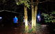Night 4WD & Guided Glow Worm Tour Wildlife Spotlighting Blue Mountains Adventure - thumb 5