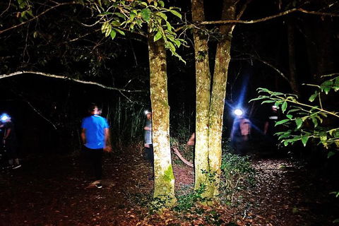 Night 4WD & Guided Glow Worm Tour Wildlife Spotlighting Blue Mountains Adventure - Perisher Accommodation 5