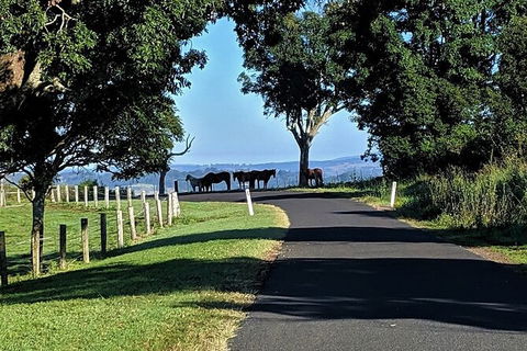 7 Day - Byron Bay Cycling Holiday - Perisher Accommodation 6