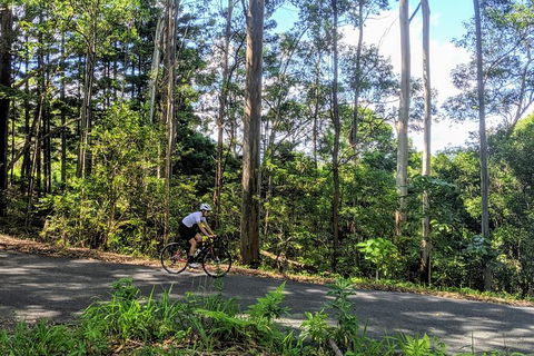 7 Day - Byron Bay Cycling Holiday - Perisher Accommodation 14