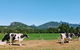 7 Day - Byron Bay Cycling Holiday - thumb 11