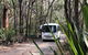 Royal National Park Shuttle Bus To The Coast Track - thumb 0