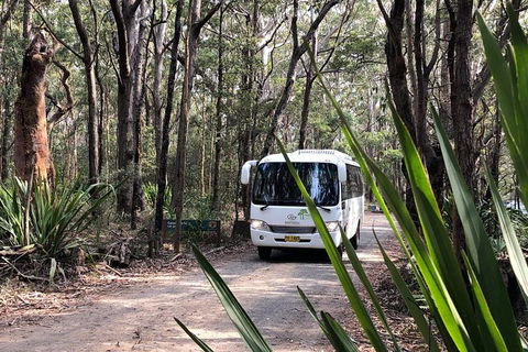 Royal National Park Shuttle Bus To The Coast Track - Perisher Accommodation 0