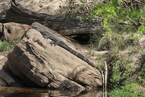 Wilderness Kayak Adventure With Gourmet Food - Perisher Accommodation 6