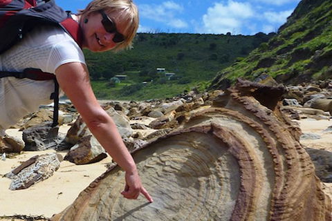 Private Luxury Sydney\'s Royal National Park Full Day Tour - Perisher Accommodation 1