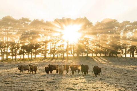 Private Luxury Southern Highlands Full Day Trip - Perisher Accommodation 0