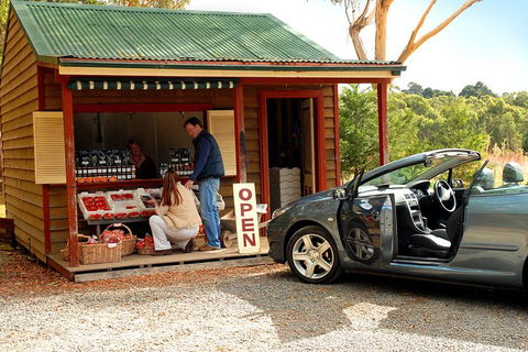 Private Luxury Southern Highlands Full Day Trip - Perisher Accommodation 4