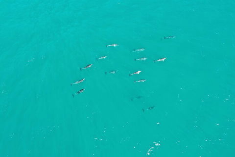 Port Macquarie Hastings Explorer - 30 Min VIP Private Flight - Perisher Accommodation 4