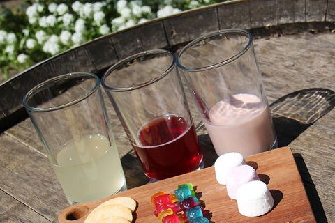 Hunter Valley All-Inclusive Small Group Tour - Perisher Accommodation 3
